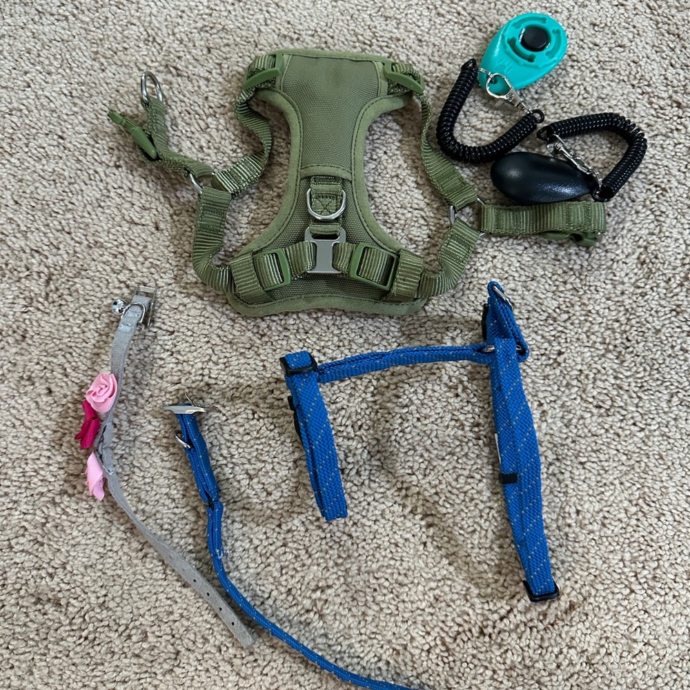 Various cat items